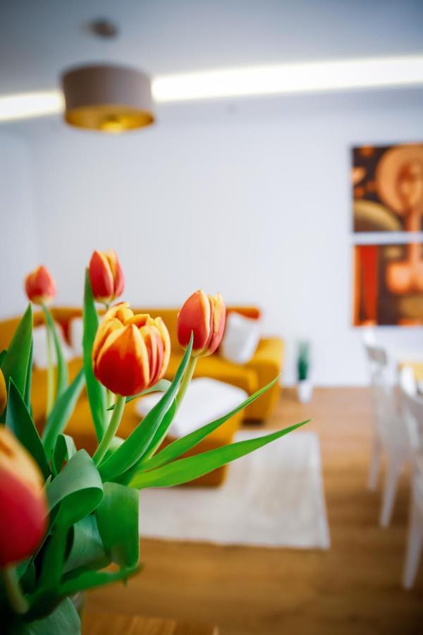 Cozy Apartment In The Downtown Ráb Exteriér fotografie